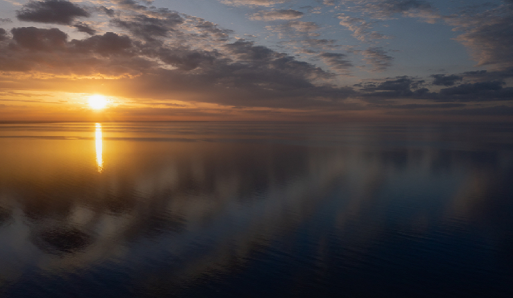 Uncovering opportunities in Japan's Small & Mid Cap space