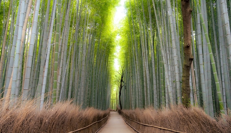 2024 Q2 Update by Masa Takeda, Portfolio Manager of SPARX Japan Equity Focus All Cap Strategy